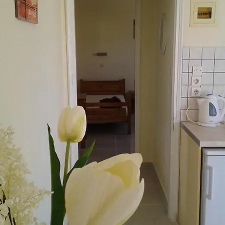 Apartamento Elena *